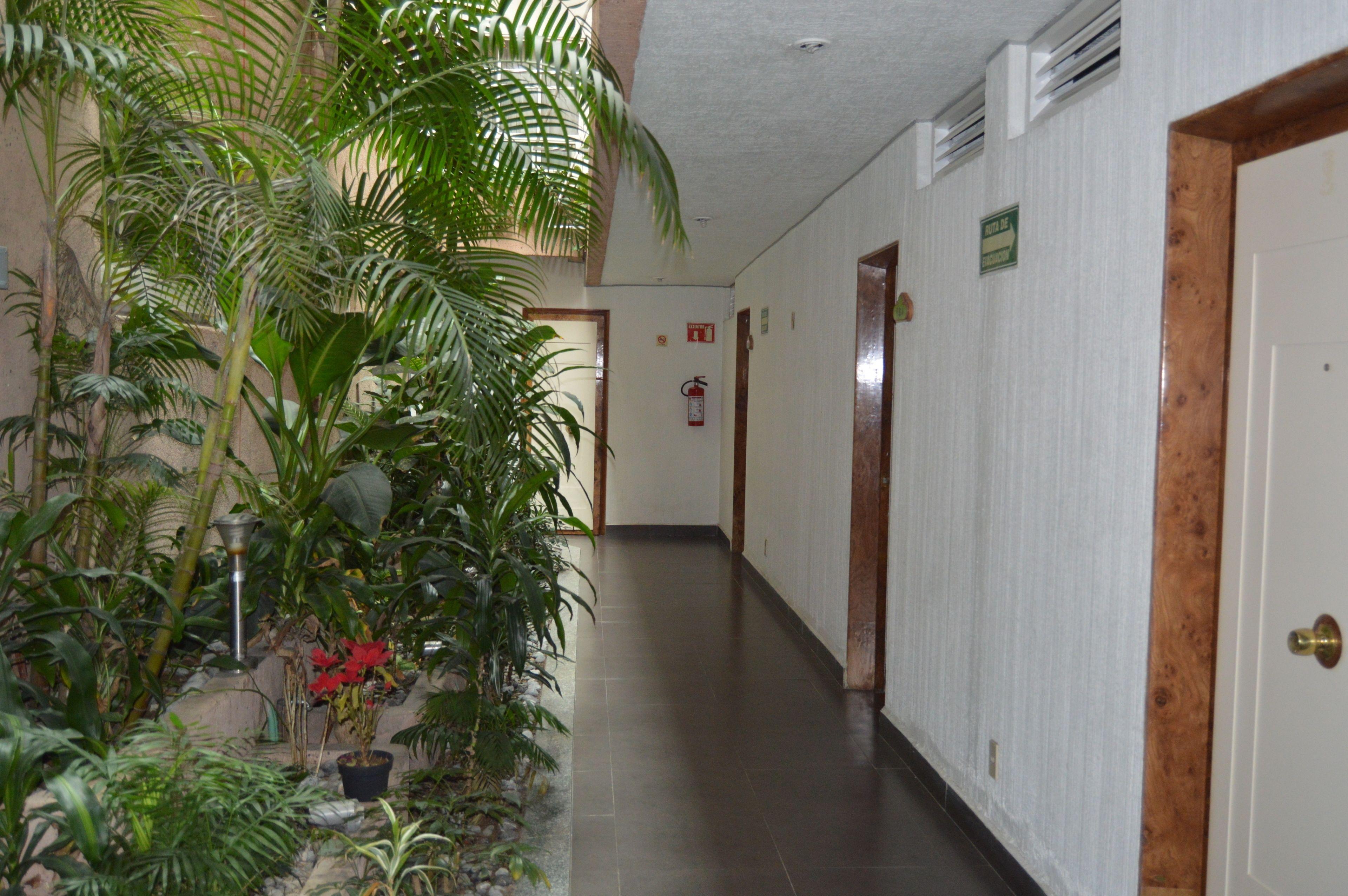Hotel Mina — Photos 3